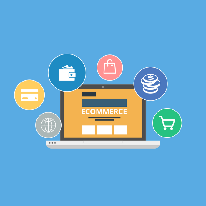 Ecommerce 1